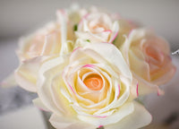 Cote Noire 5 Roses Pink Blush <br>法國寇特蘭經典五朵玫瑰香氛花 黑底 GMRB62